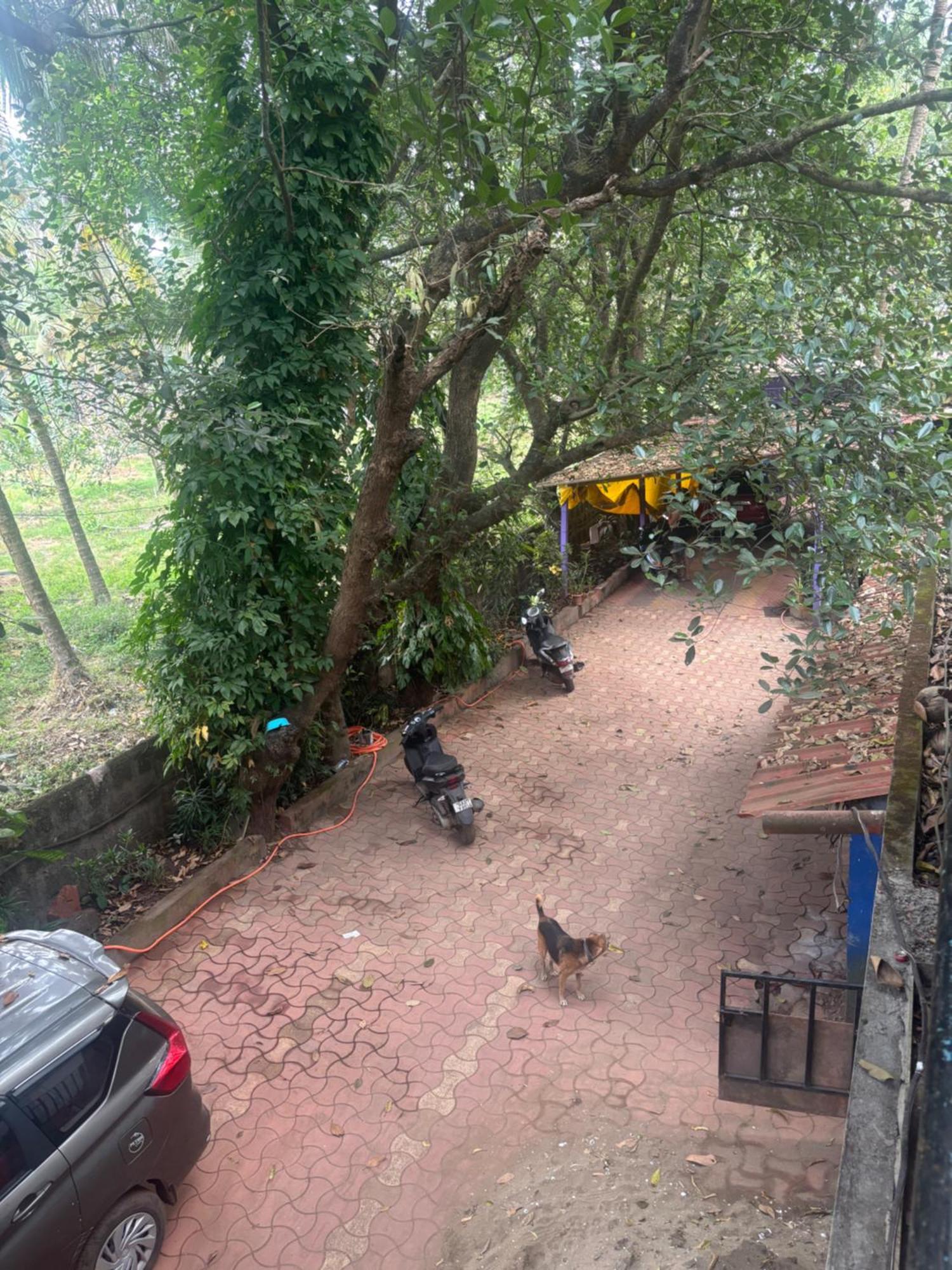 Albergue Tamasha Goa Vagator Habitación foto
